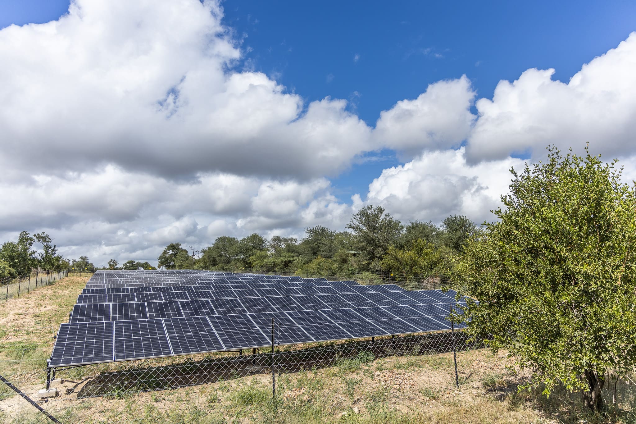 Tanda Tula's solar farm which operates the entire camp