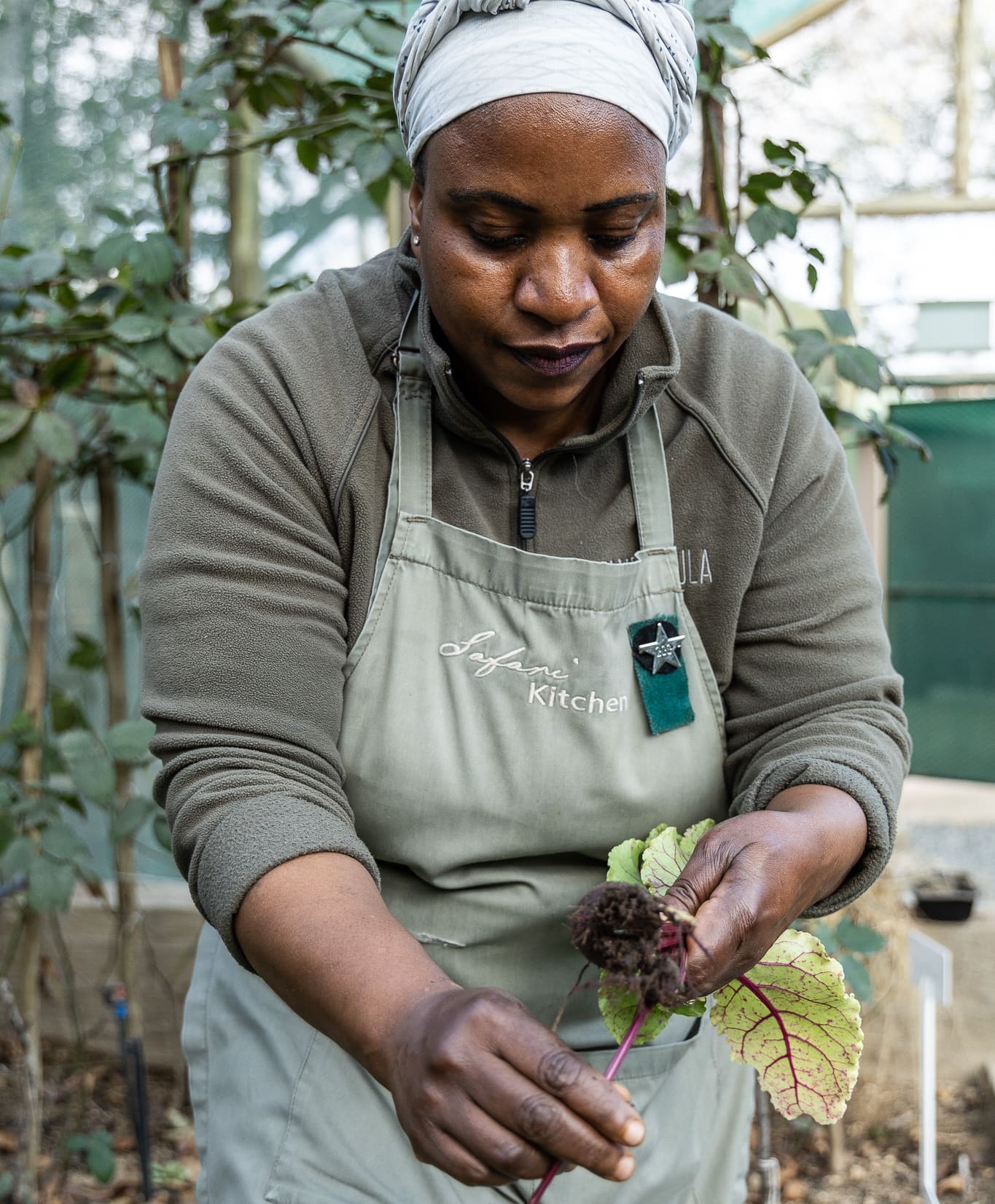 A woman gently harvesting leafy greens from Tanda Tula’s organic kitchen garden, wearing a soft green apron and headscarf, embodying the lodge’s farm-to-table ethos and people-first hospitality.
