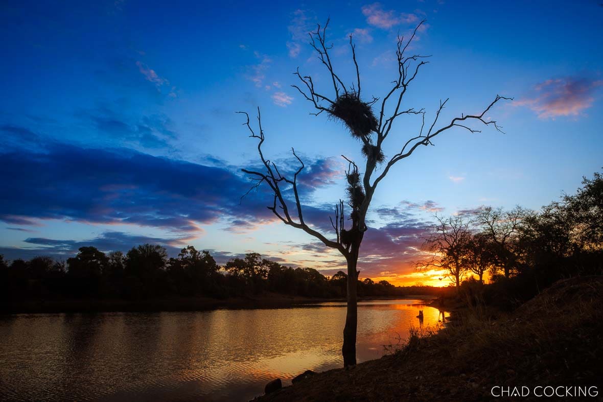 Sunset over the Timbavati river with a lone tree silhouetted against a colourful sky.