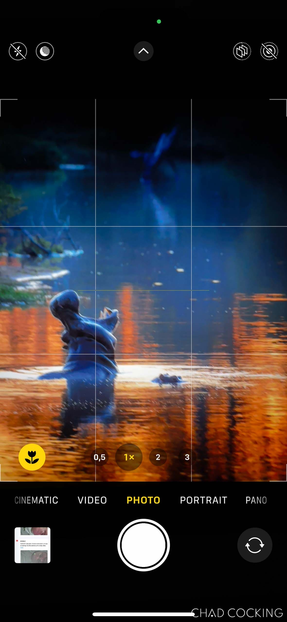 iPhone screen showing a hippo in a waterhole at sunset, captured in photography mode.