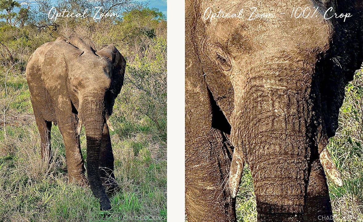 Side-by-side comparison showing an elephant photographed using optical zoom, with a detailed 100% crop.