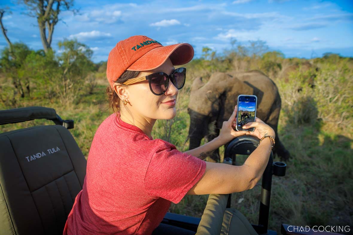 Guest on safari photographing an elephant up close from a Tanda Tula game viewer.
