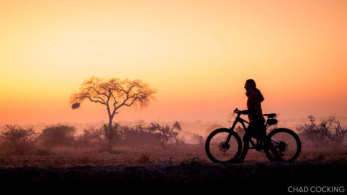 Silhouette of a cyclist riding at sunrise through the Timbavati, with a lone tree glowing in the morning mist.