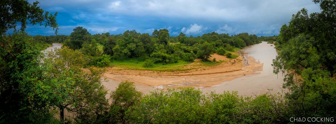 Flooded river winding through lush green Timbavati landscape after summer rains